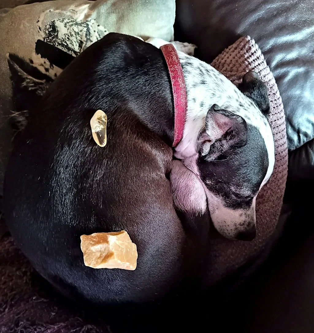 Canine Crystal Healing Workshop - at Hoveringham Village Hall