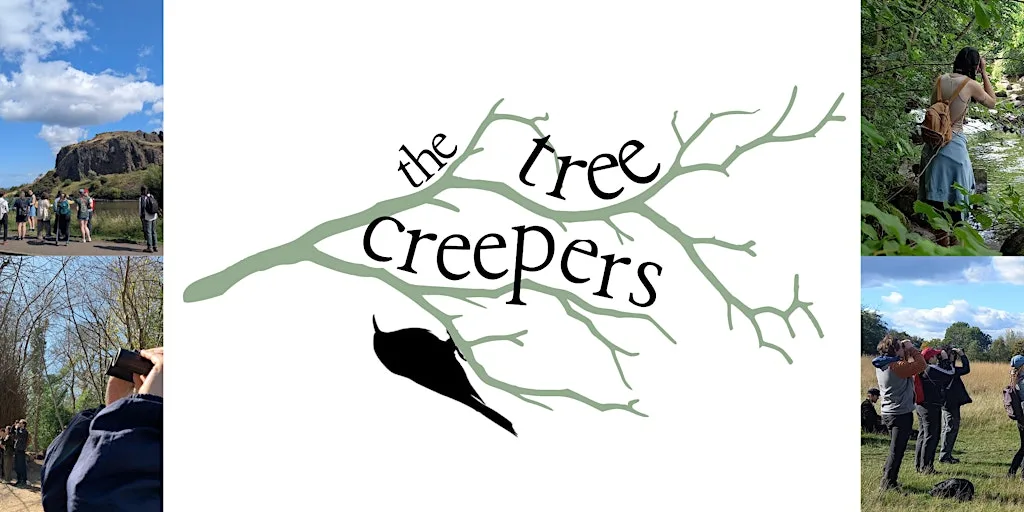 The Treecreepers Birdwatching Group at Musselburgh Lagoons