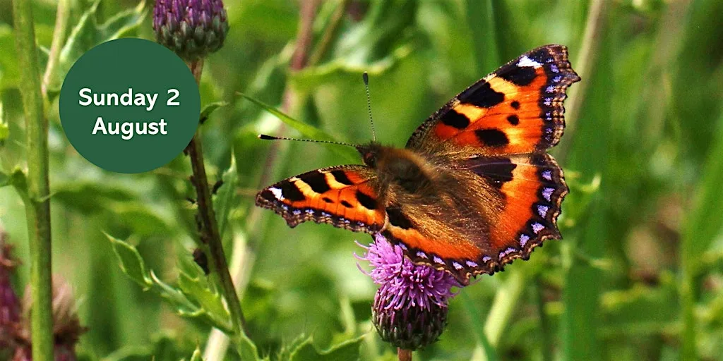 Love Parks Week: Butterfly Walk at Pets' Corner, Jesmond Dene