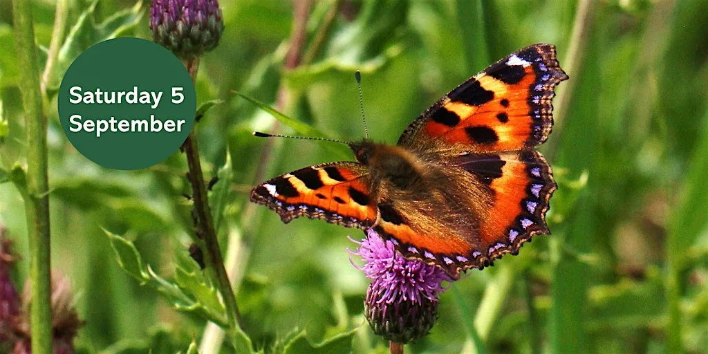 Ouse Burn Way: Butterfly Walk at Gosforth Nature Reserve