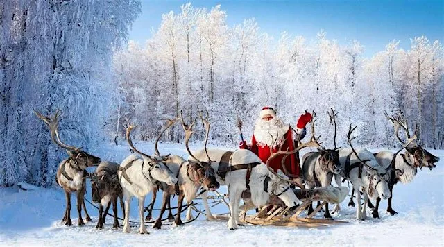 Lunch with Santa