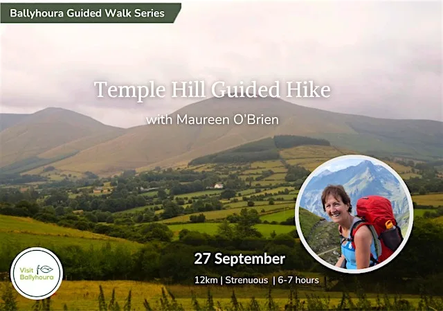 Temple Hill Guided Hike with Maureen O’Brien - Galtee Mountains at Combaun woodland walk