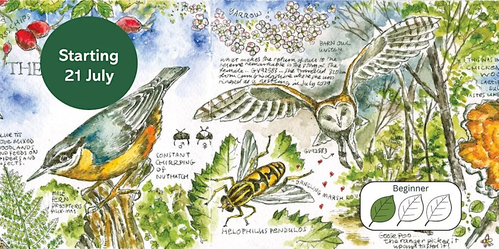 An Introduction to Creative Nature Journaling at Gosforth Nature Reserve