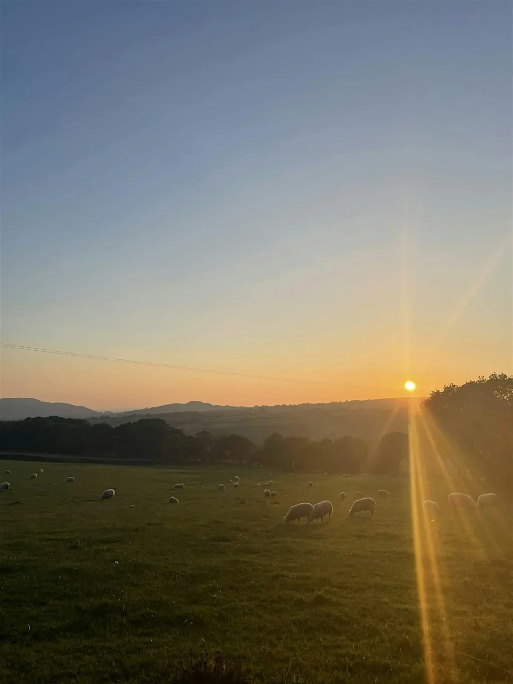 THE SUN: A day of Tarot, Creativity & Vitality at The Lavender Project