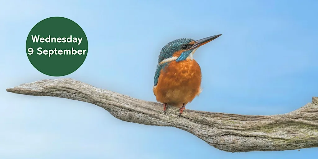 Ouse Burn Way: Urban Birding