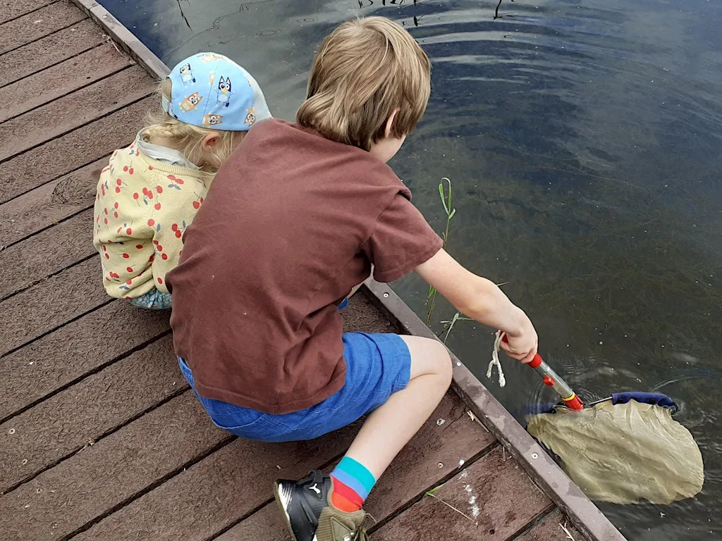 Wild Summer: Whisby - Family Pond Dipping at Whisby Education Centre