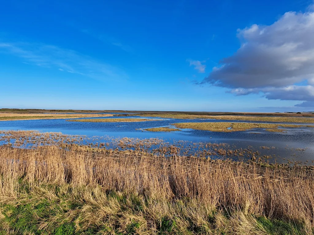 Mindfulness walk (10 August) at Cley Marshes Visitor Centre