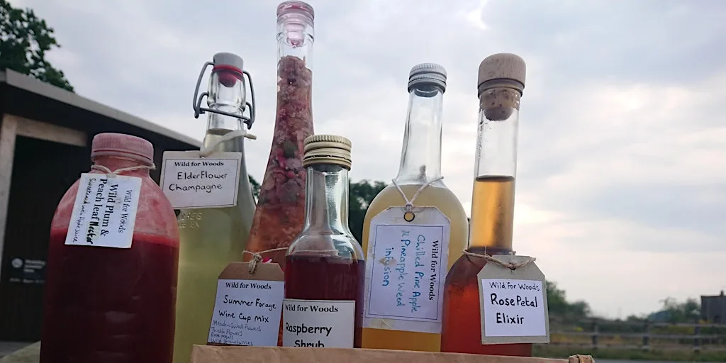 Autumn Wild Cocktails (VCC2806) at Carlton Marshes Nature Reserve & Visitor Centre