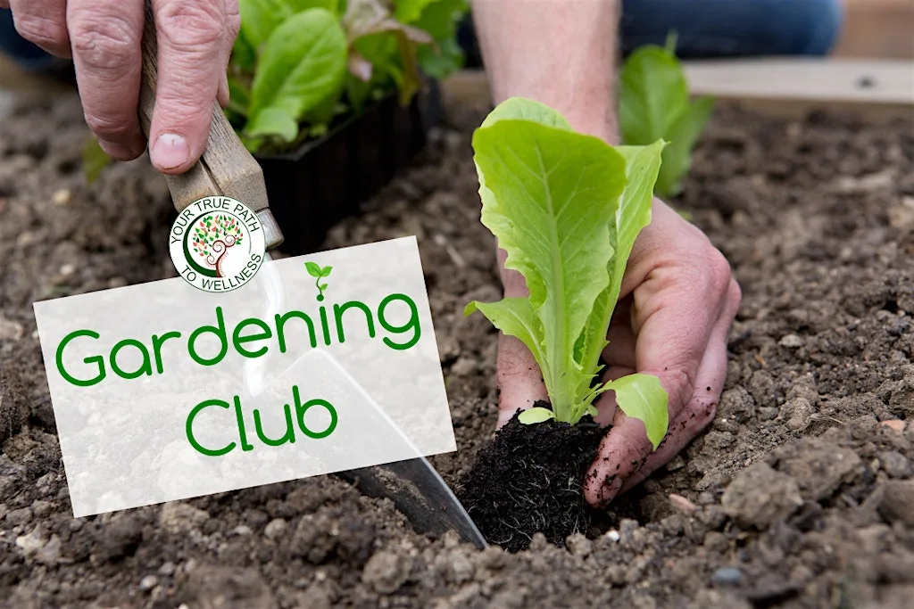 Gardening Club at Broughty Ferry YMCA