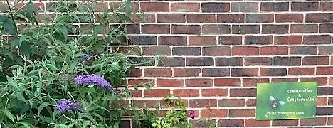 Wednesday Evening Urban Wildlife at High Wycombe Almshouses
