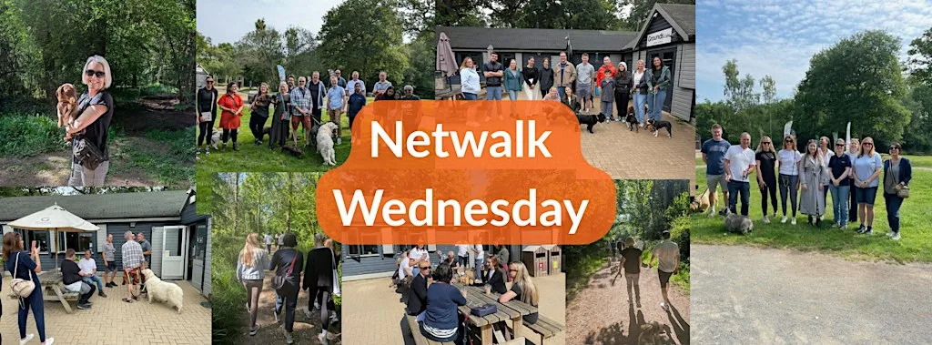 Franklins Netwalk Wednesdays at Grounds Café Salcey