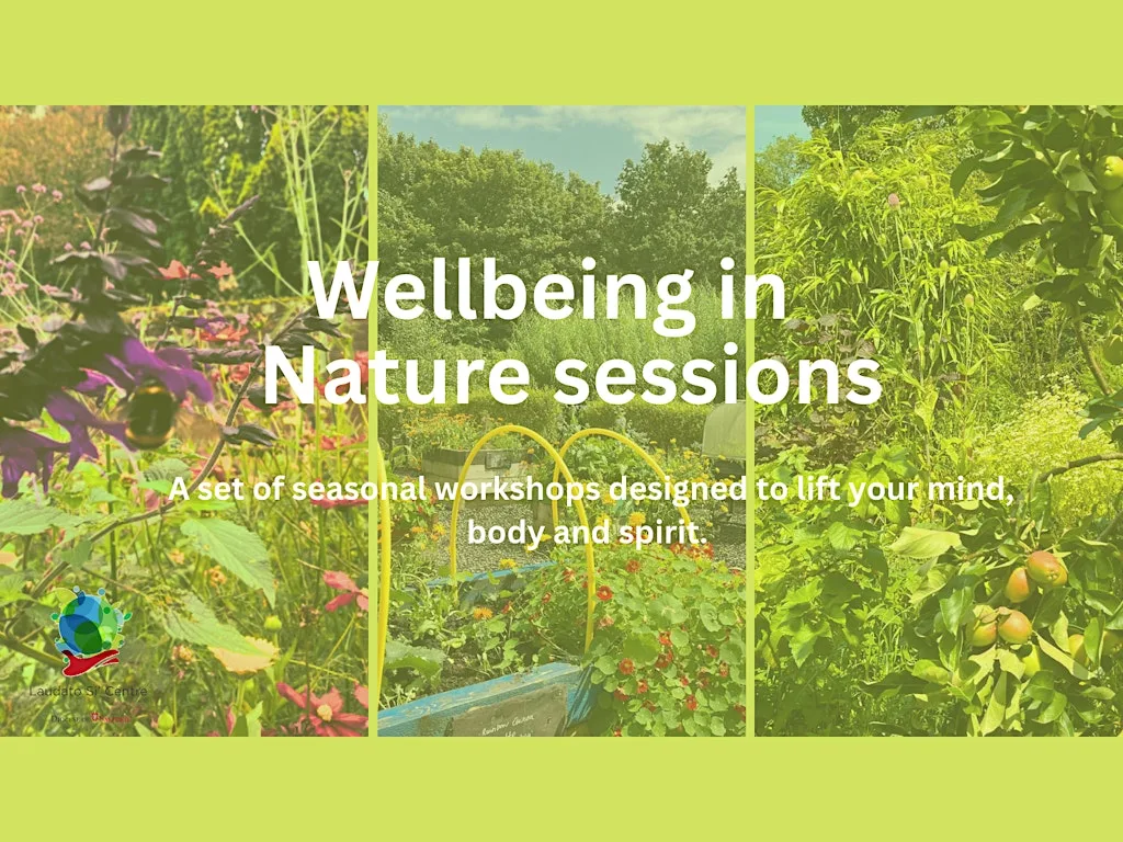 A wellbeing in nature workshop for Winter at Laudato Si Centre