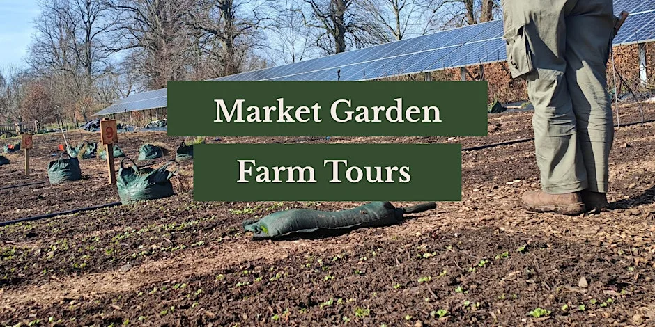 Market Garden Farm Tour at Pillars Of Hercules Organic Farm Shop & Cafe