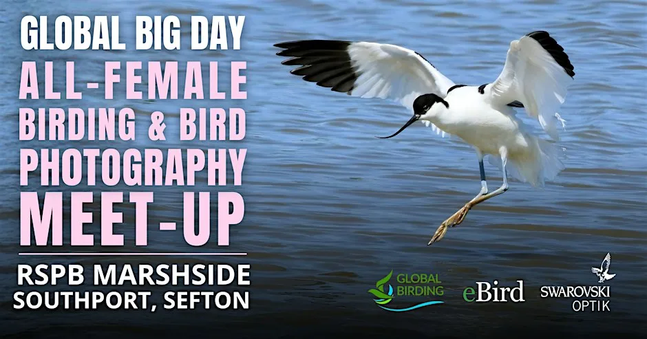 All-Female Birding & Bird Photography Meet-Up