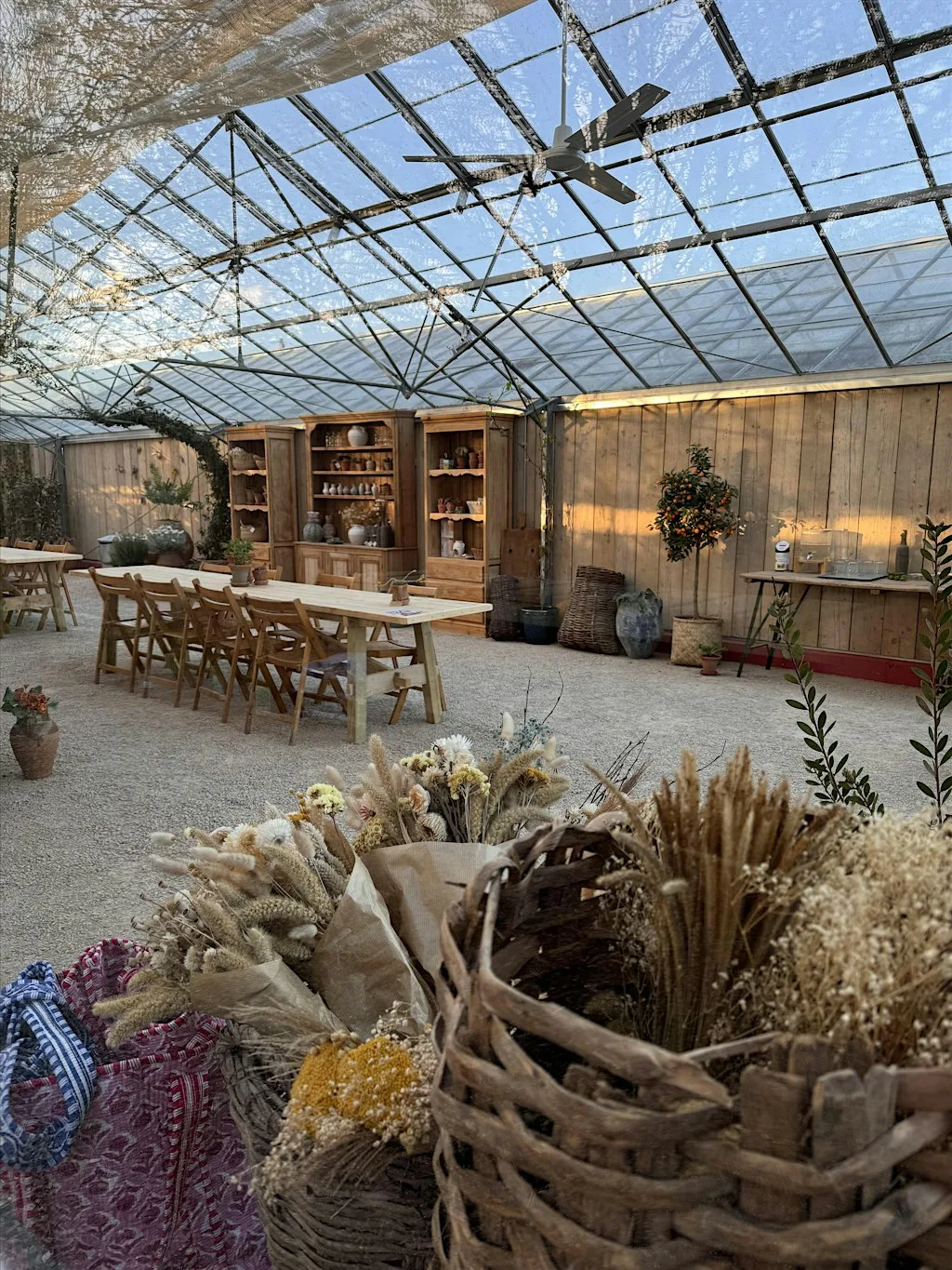 Pottery Painting in a Plant-Filled Greenhouse, Great Bookham Surrey All Age at The Vineries Garden Centre