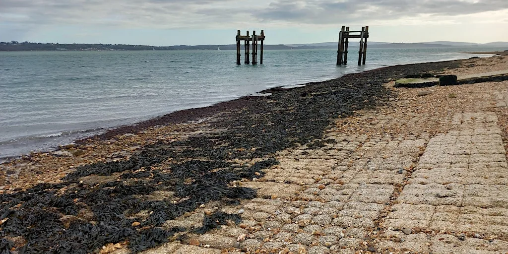 Codename Mulberry - Top Secret D-Day Site, WWII Guided Tour 11am at Lepe Country Park