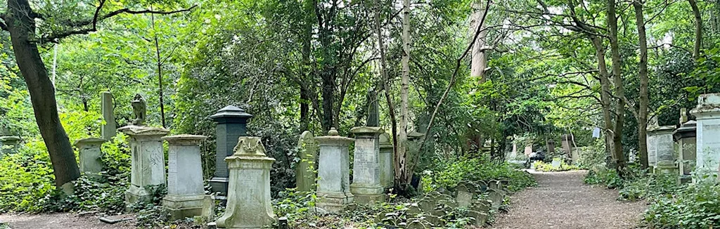 Abney Park Litter Picking (Run by APT)