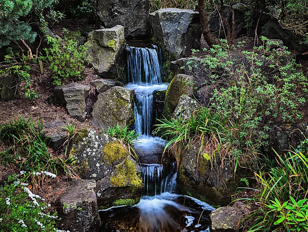 Forest Bathing at Lauriston: Finding Balance in the Late Summer at Lauriston Castle