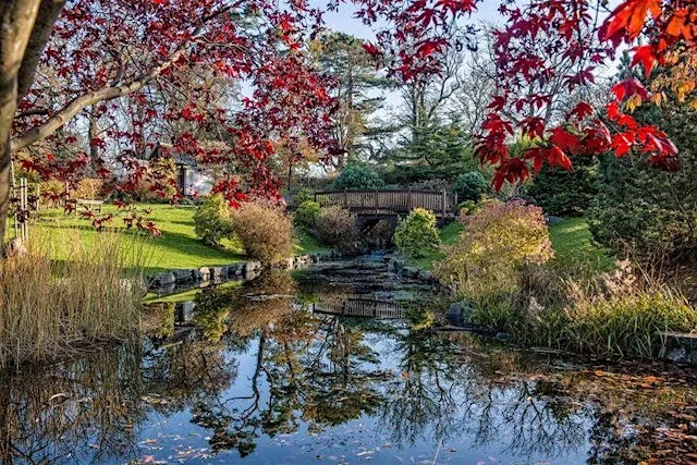 Forest Bathing at Lauriston: Transformation and the Art of Letting Go
