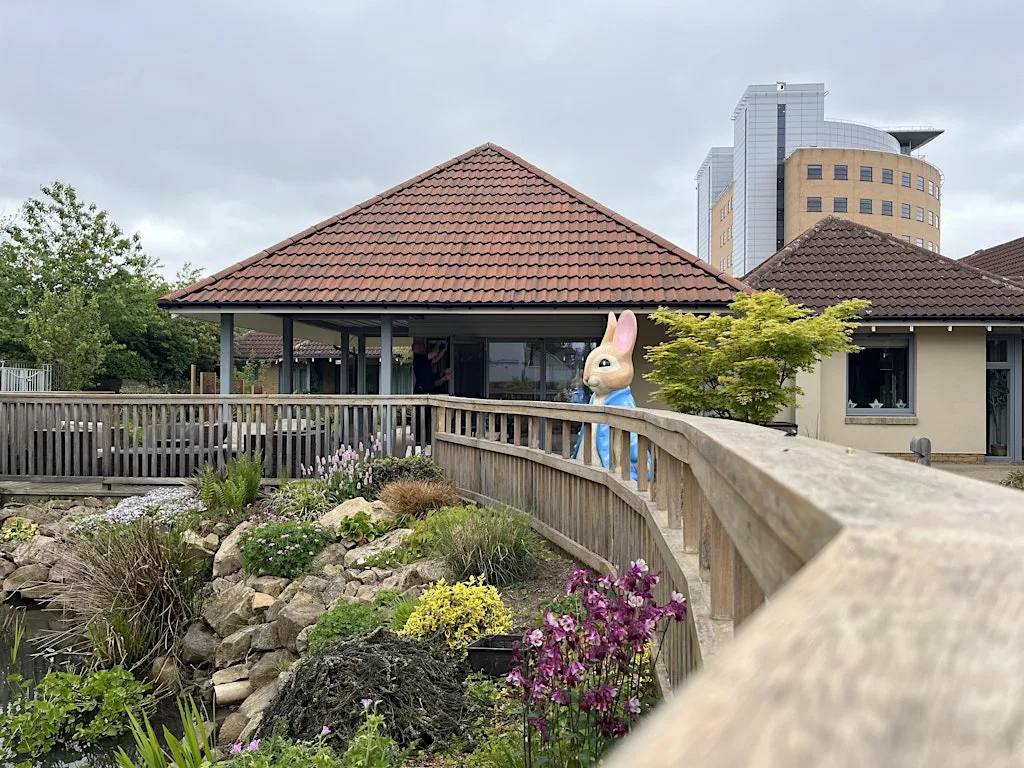 Peter Rabbit™: Tales on the Tyne: Grand Finale Auction at Newcastle Civic Centre