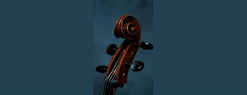 Young musicians concert no.8 at The Lit & Phil