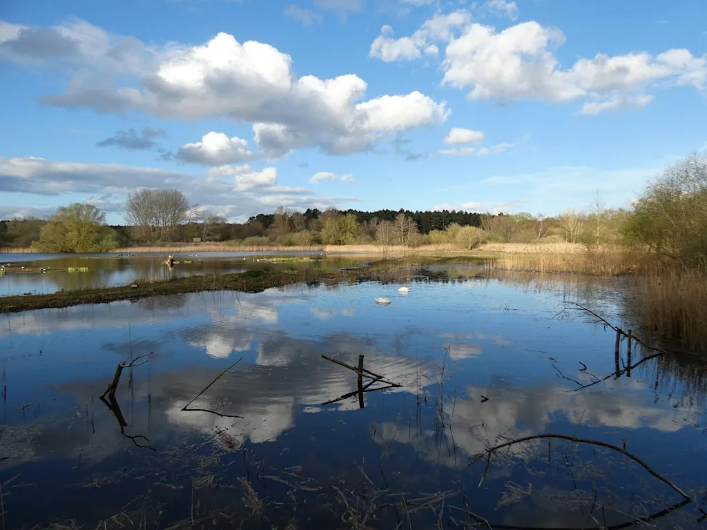Guided Walk at Lackford Lakes (WG6) at Lackford Lakes Nature Reserve