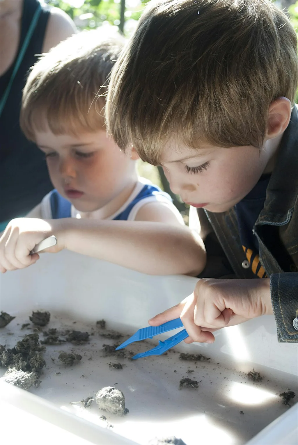 Bones and body bits (Family event ) NWT Ranworth Broad at Norfolk Wildlife Trust Ranworth Broad and Marshes
