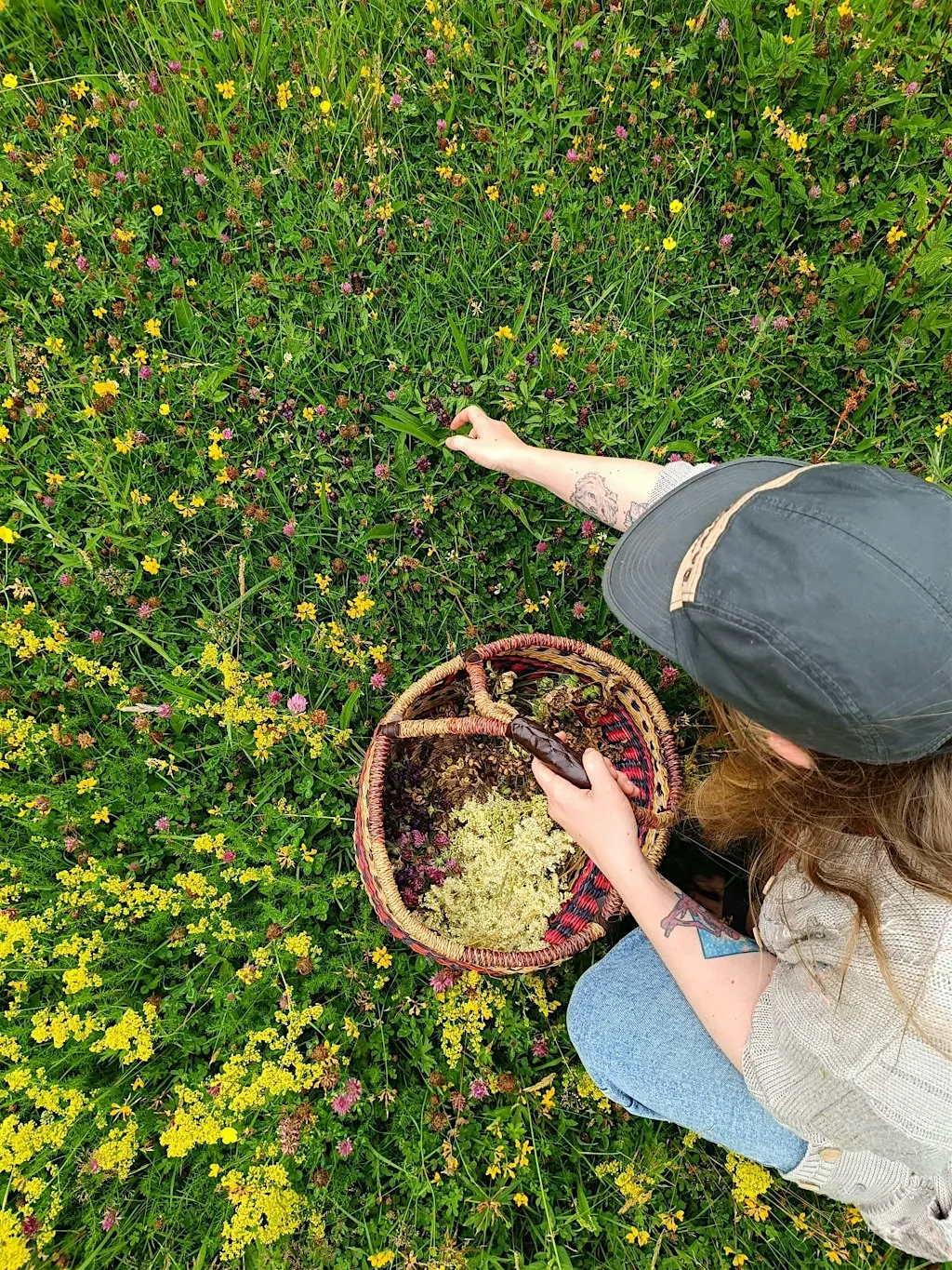 Gather Together - Foraging Walk at Fitzgerald Park