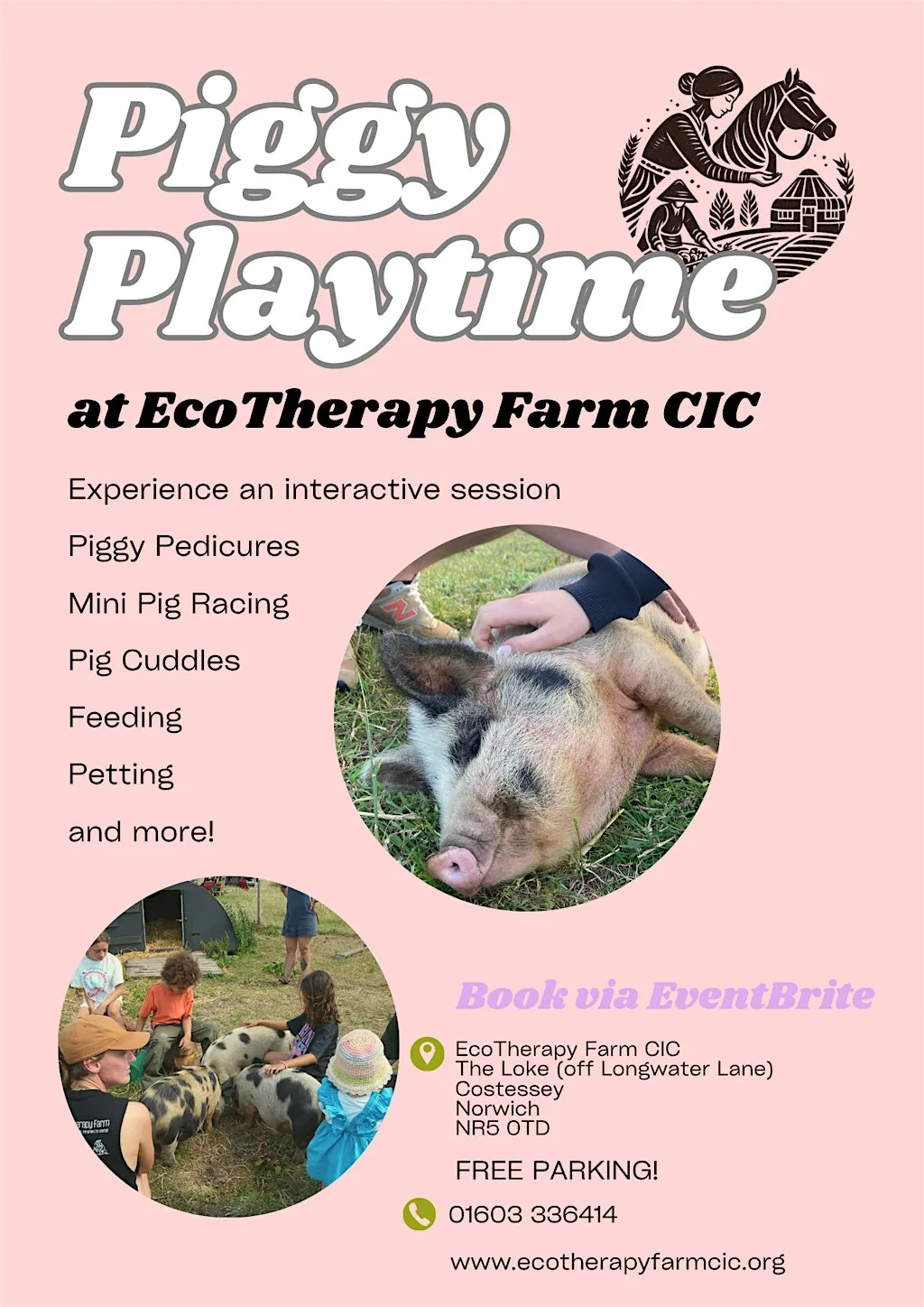 Piggy Playtime at EcoTherapy Farm CIC