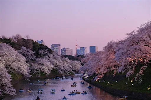 A NIGHT IN JAPAN AND SOUTH KOREA