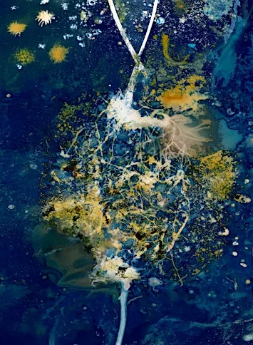 Creating cyanotypes - sun prints