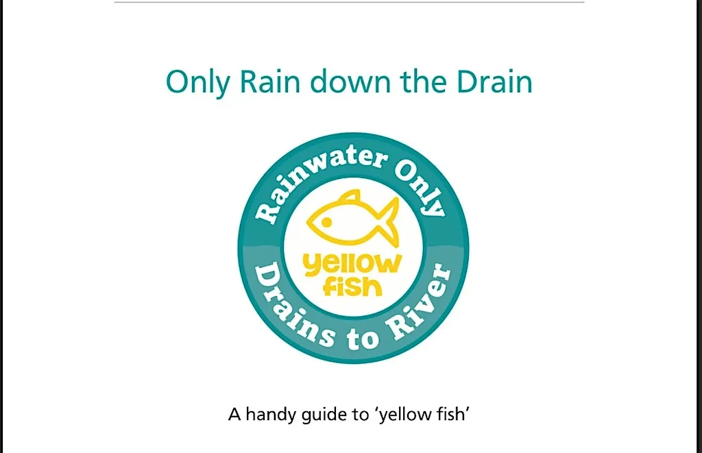 Youth Action Day 'Only Rain Down the Drain' Yellow Fish Campaign
