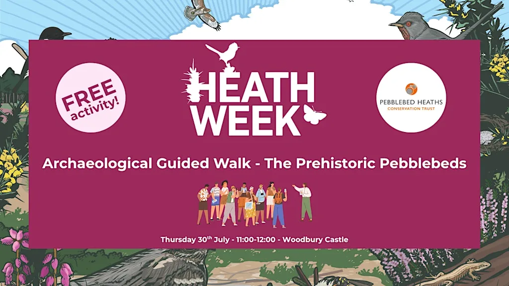 Heath Week 2026: Archaeological Guided Walk at Woodbury Castle Car Park