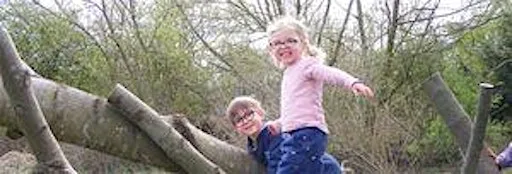 Summer Nature Trail - Sutton Courtenay, Thursday 30 July at Sutton Courtenay Environmental Education Centre