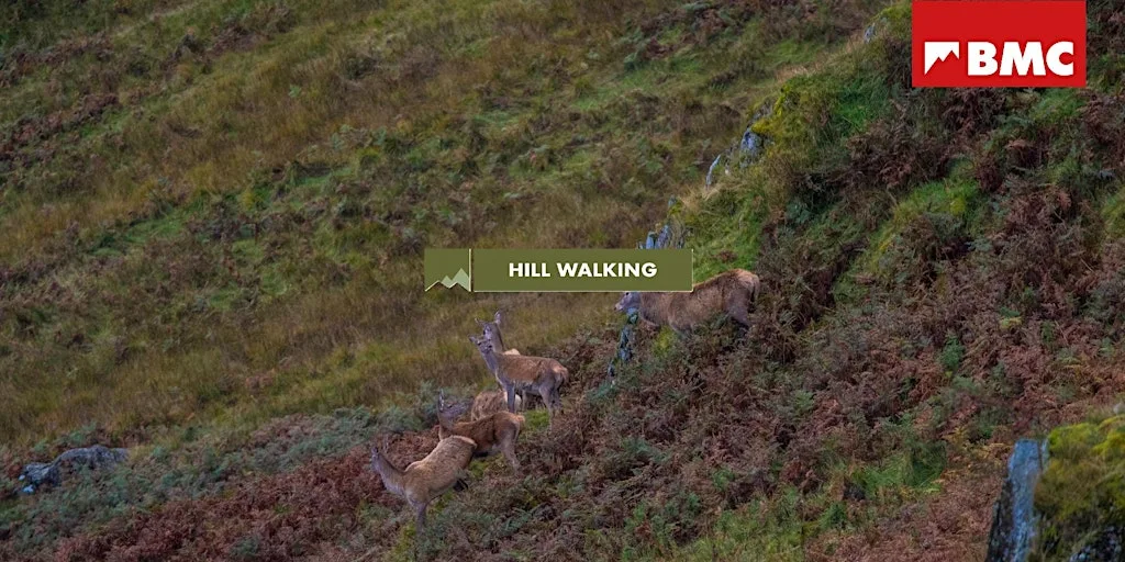 BMC Hill Walking: Special Deer Rutting Walk, Lake District