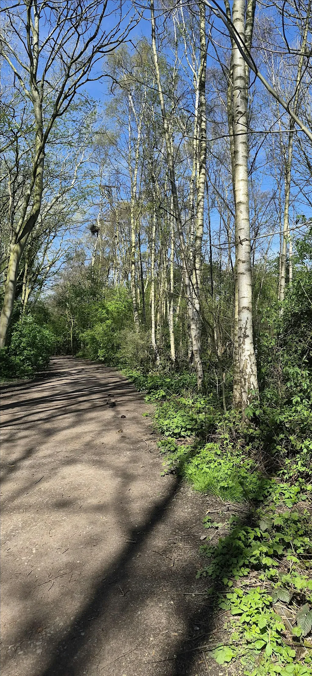 Walk Reflect Reset 28th September 2026 at Shell