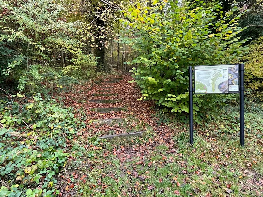 Castlefield Conservation Morning at Castlefield Woods New Road