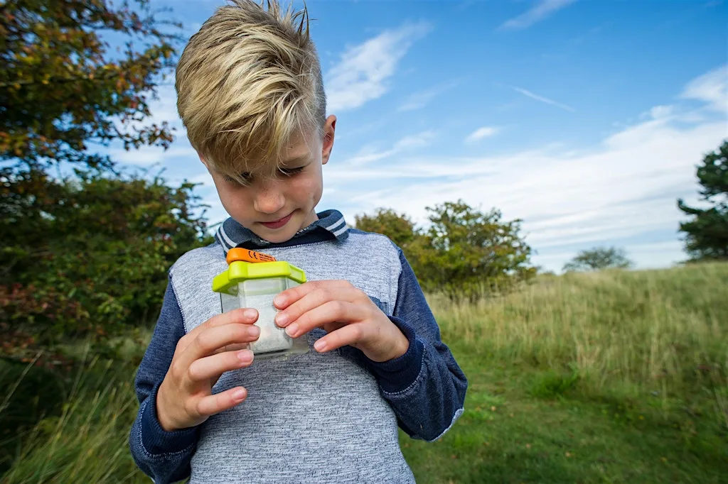 Wild in the Woods (Cambourne): Moths and bugs at Wildlife Trust for Bedfordshire, Cambridgeshire & Northamptonshire (BCN) Head Office