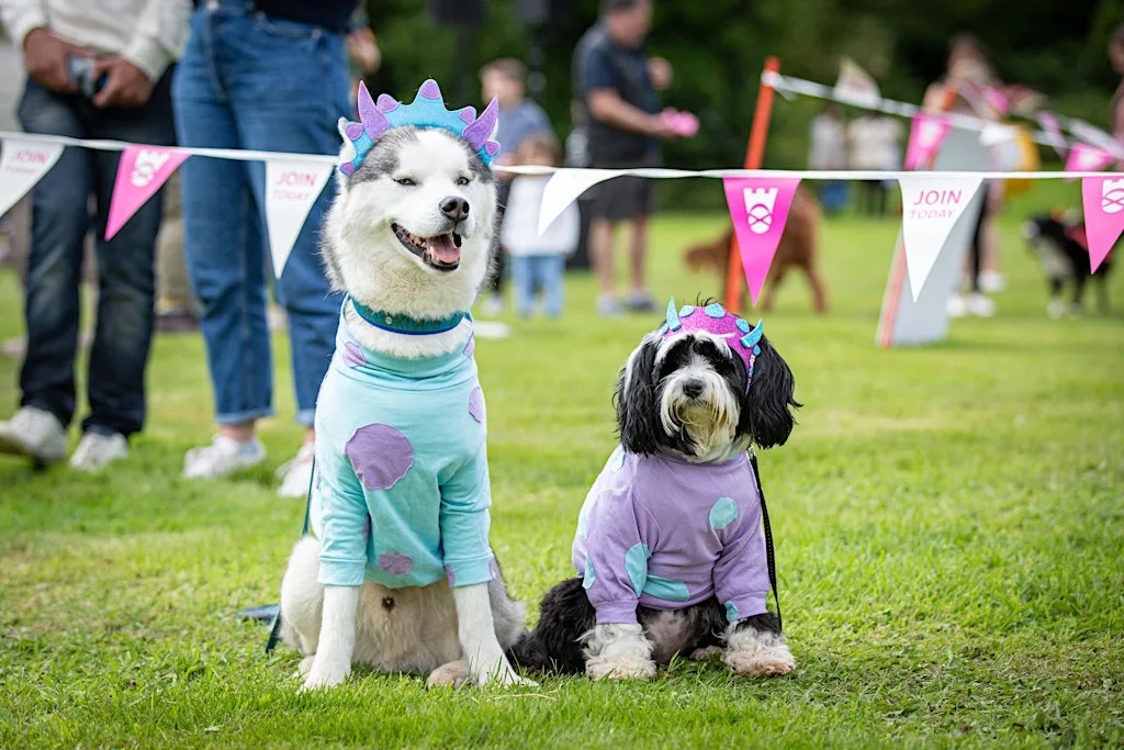 Event: Doghailes 2026 at Newhailes House & Garden