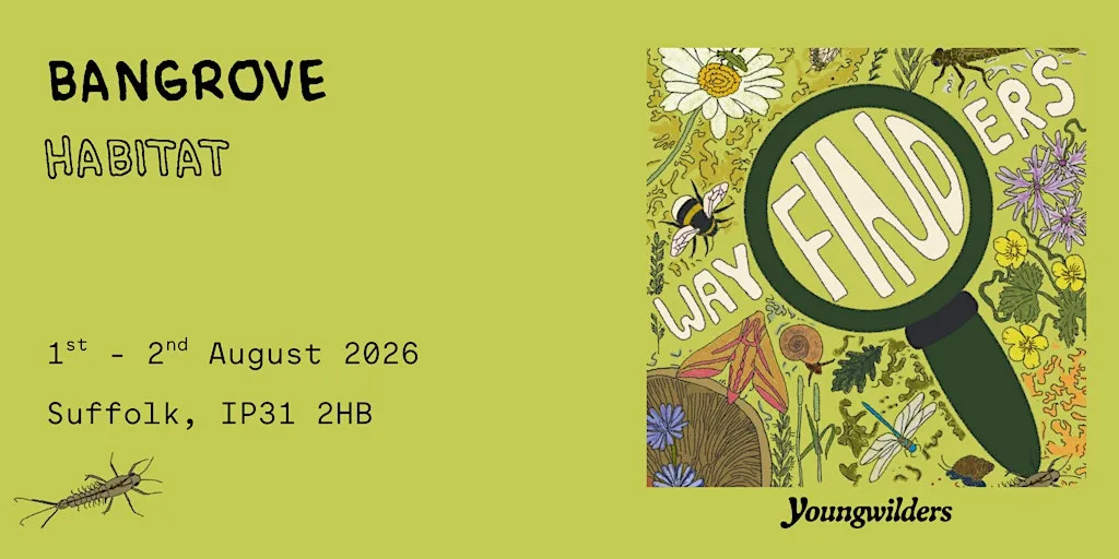 Wayfinders Weekend: Habitat Surveying- Bangrove, Suffolk at Bangrove Nature Project