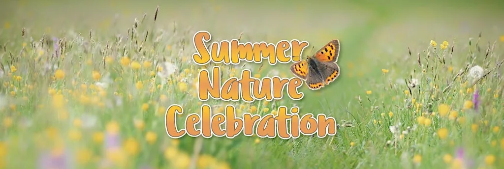 Summer nature celebration at The Lighthouse Project