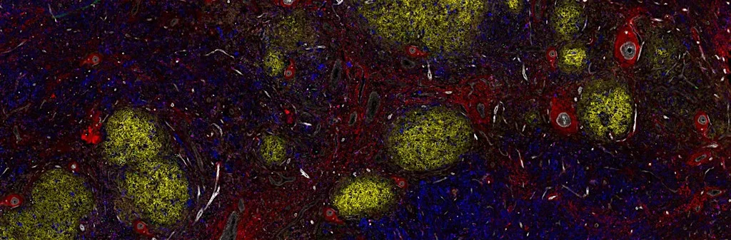 Crick Cancer Symposium 2026 at The Francis Crick Institute