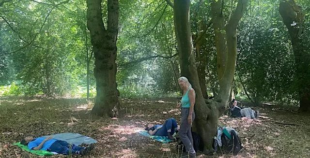Remembrance Forest Bathing: A Morning of Reflection & Renewal
