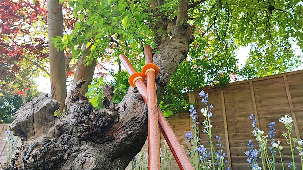 London Bokken Practice at The Regent's Park