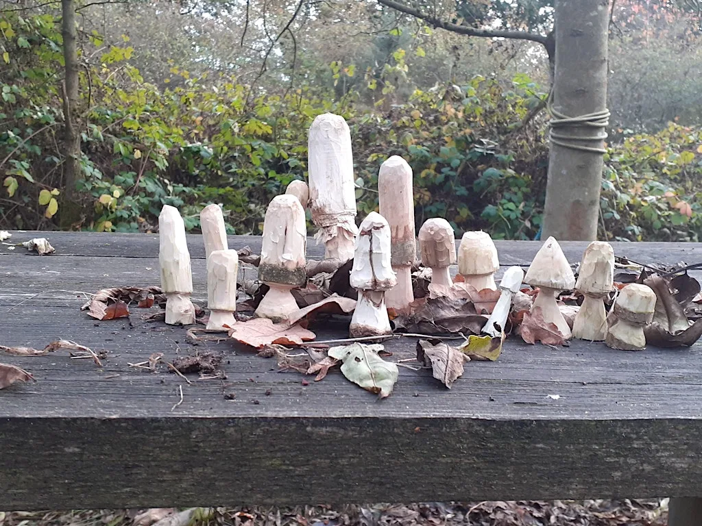 Monthly Workshop: Whittling for Beginners
