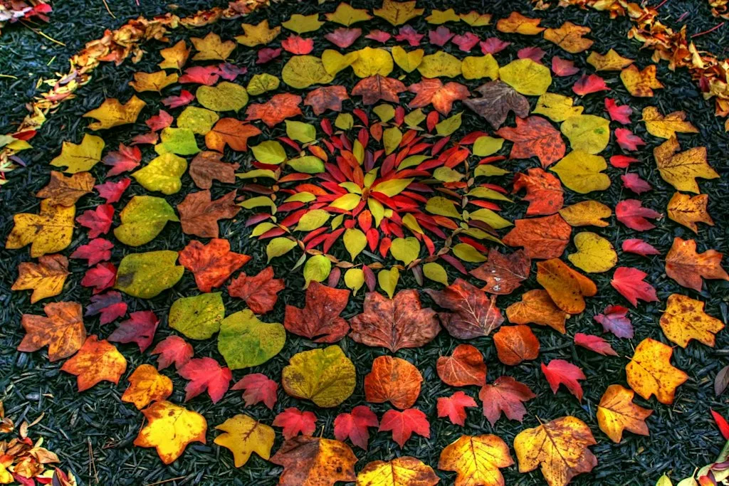 Monthly Workshop: Autumn Mandalas