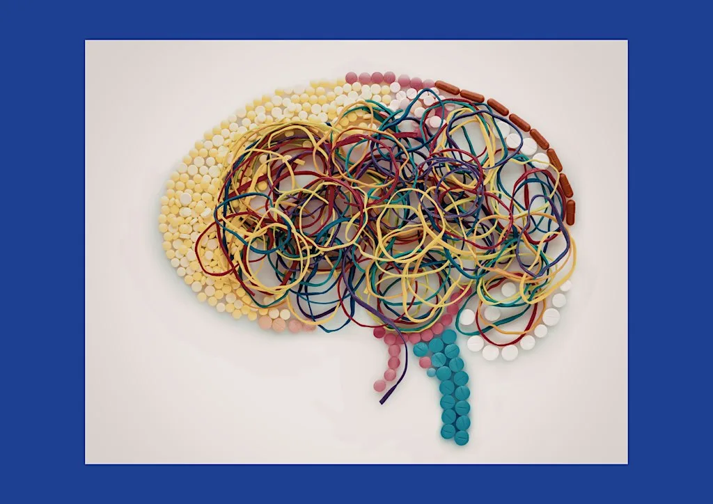 Annual Conference 2026 Complexity of Neural Function – the Brain in Charge