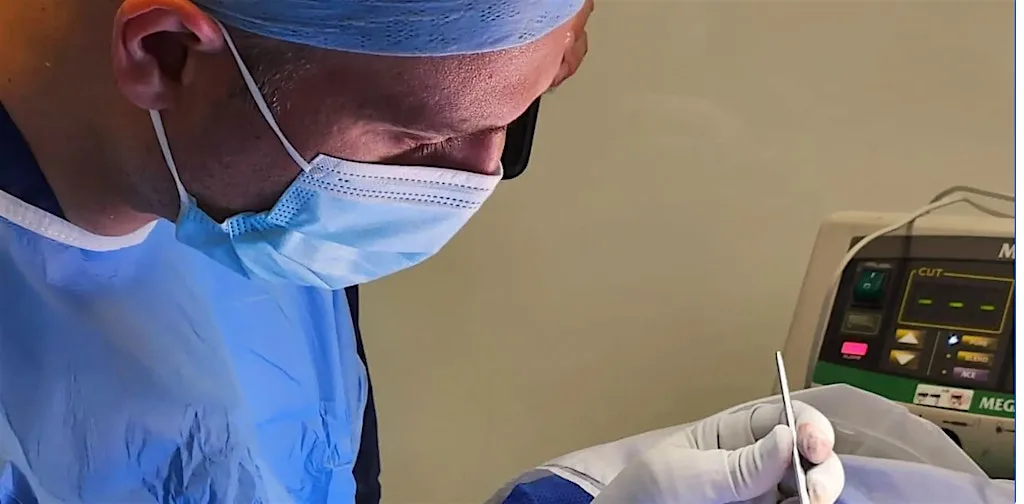 The London & South East Abdominal Wall Reconstruction Symposium