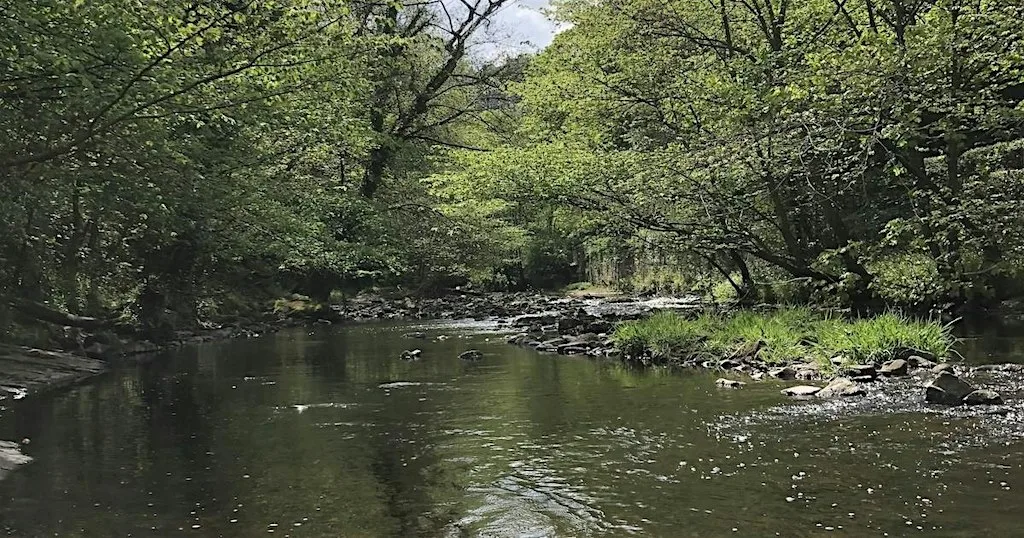 POETRY BY THE RIVER at St Bernard's Well on the Water of Leith
