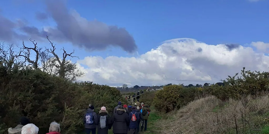 Be Inspired by Martlesham Wilds on New Year's Day! (E2P2816)